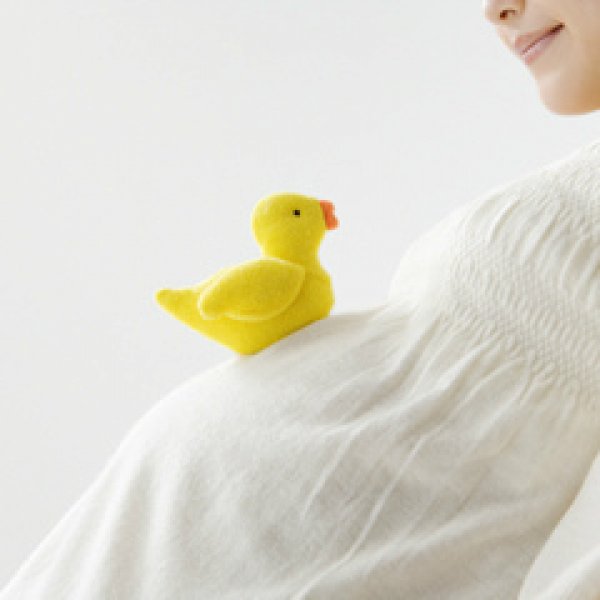 妊娠中の腰痛予防法 [FC2 blog【ヘルシースペース美園】]